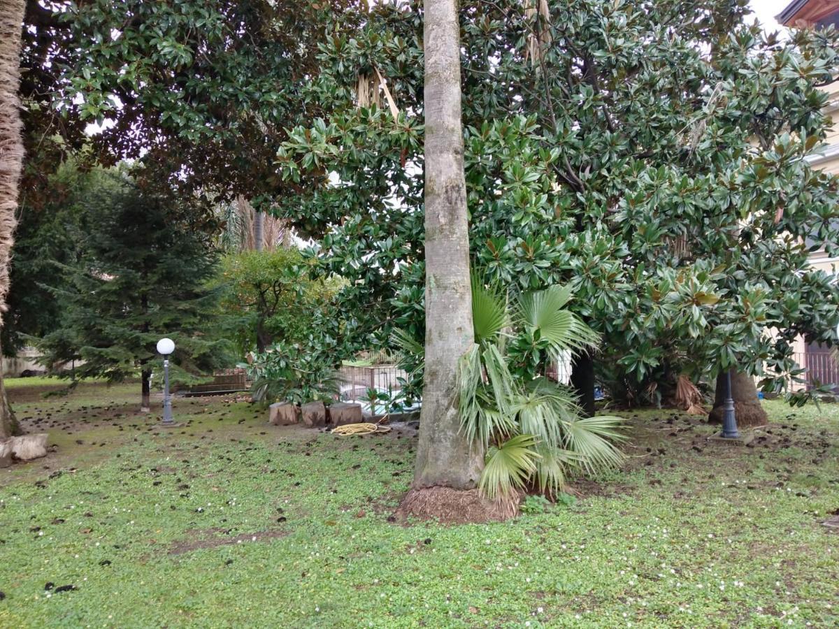 Villa Pellicano -Il Nido กาสเตลลัมมาเร ดิ สตาเบีย ภายนอก รูปภาพ